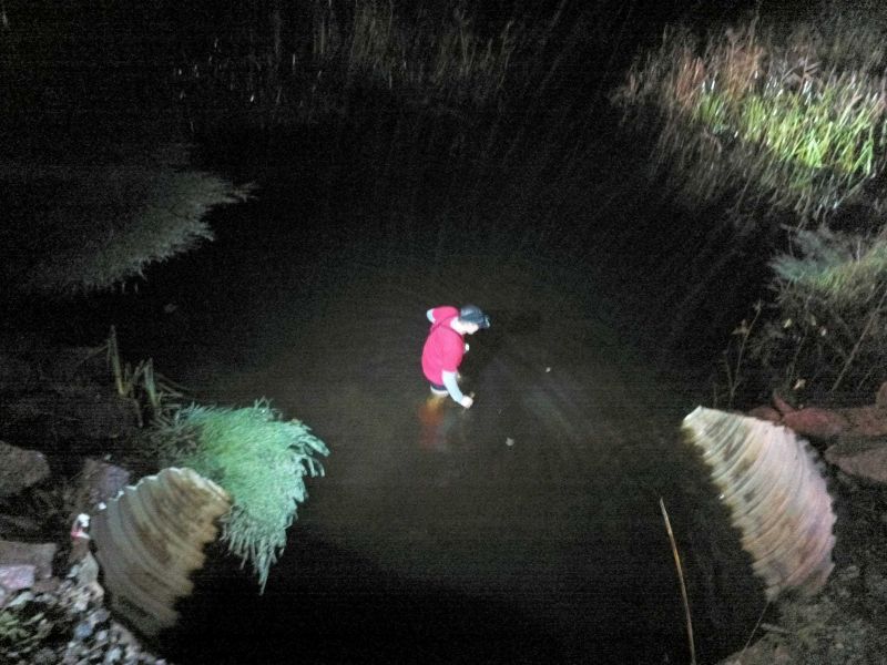 River crossing during the overnight exercise